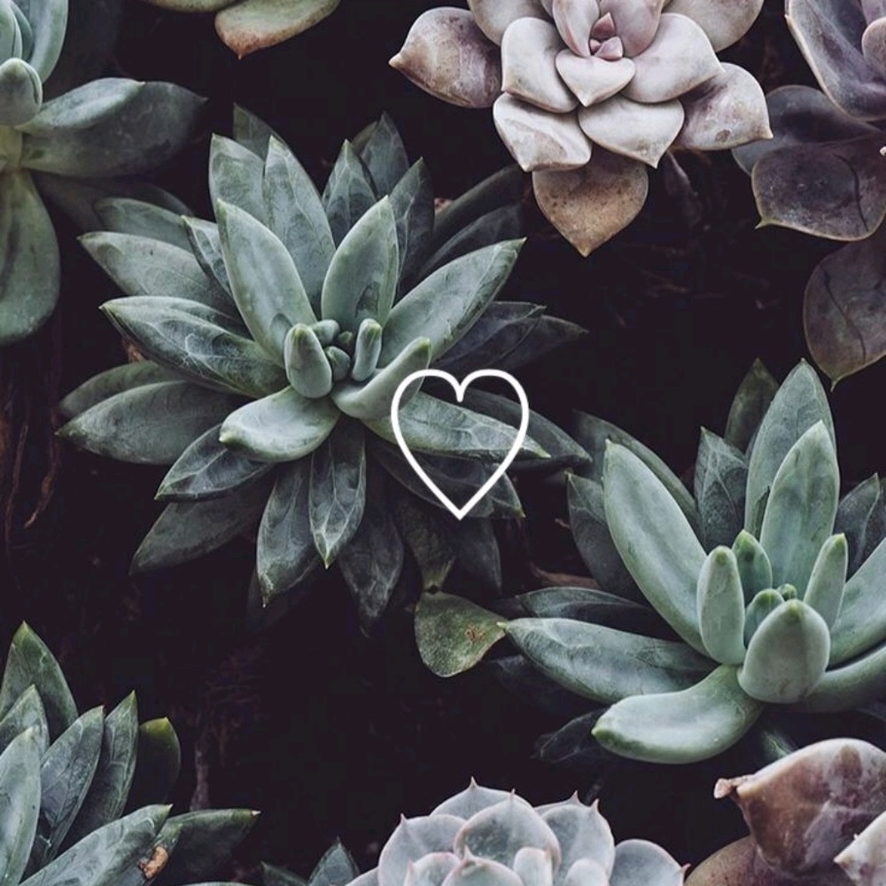 Meet your Posher, Skye